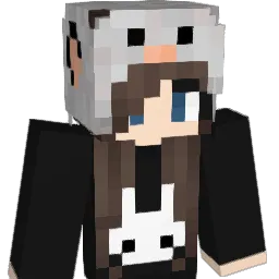 BwInvis Minecraft avatar bust