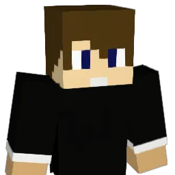 Bwinio Minecraft avatar bust