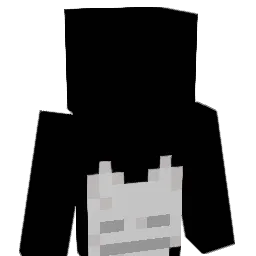 Byram8 Minecraft avatar bust