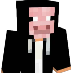 C0MPA_FEL1X Minecraft avatar bust