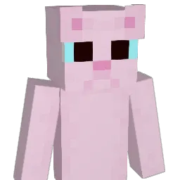 C0NST3LL4T10N Minecraft avatar bust