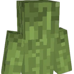 C0ryAnder Minecraft avatar bust