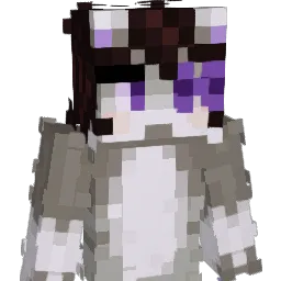 C1vis Minecraft avatar bust
