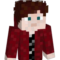 C3radu5 Minecraft avatar bust