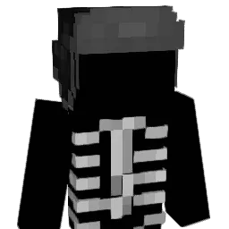 C4RDISTRY Minecraft avatar bust