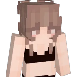 C6_P7 Minecraft avatar bust