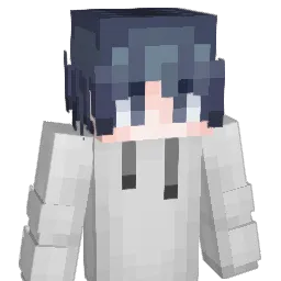 C8H17OH Minecraft avatar bust