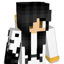 C9XIVI Minecraft avatar bust