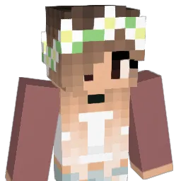 CAILY123 Minecraft avatar bust