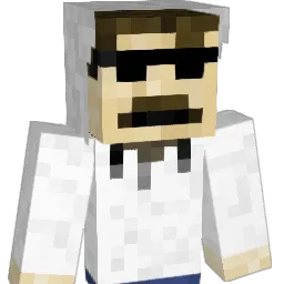 CARL2111 Minecraft avatar bust