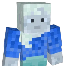 CCC_736 Minecraft avatar bust