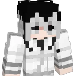 CCD303 Minecraft avatar bust