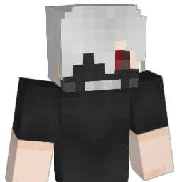 CCIH_ Minecraft avatar bust