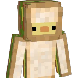 CCWT1 Minecraft avatar bust