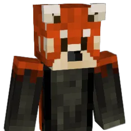 CDogg4203 Minecraft avatar bust