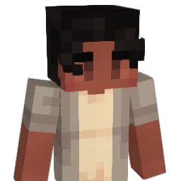 CGT0 Minecraft avatar bust