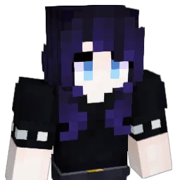 CH1N01R