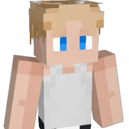 CH3WK0 Minecraft avatar bust