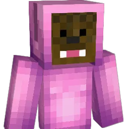 CHEESEBURGER05 Minecraft avatar bust