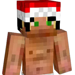CHOIRAM08 Minecraft avatar bust