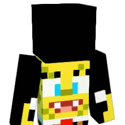 CINCOI Minecraft avatar bust