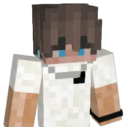 CJ2X987 Minecraft avatar bust