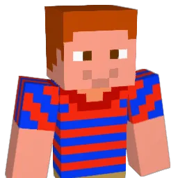 CJF623 Minecraft avatar bust