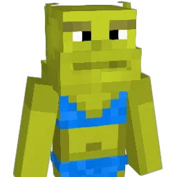 CM1234 Minecraft avatar bust