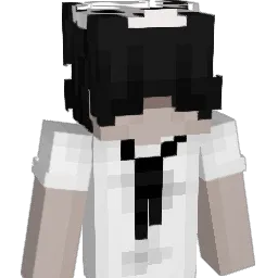 CMMj17 Minecraft avatar bust