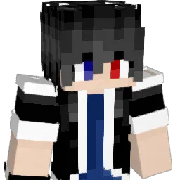 CN89 Minecraft avatar bust