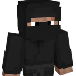 CNNNinja8 Minecraft avatar bust