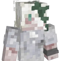 CODEDTEMNOTA Minecraft avatar bust