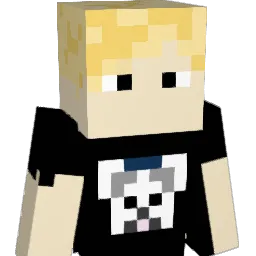 COIN12345676's Minecraft skin