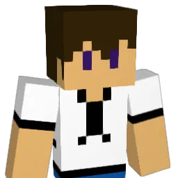 COKE800 Minecraft avatar bust