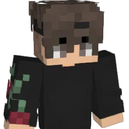 COKI1 Minecraft avatar bust