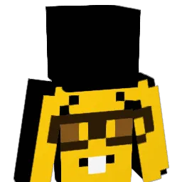 COLLINMC39 Minecraft avatar bust
