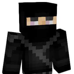 COVERRR Minecraft avatar bust