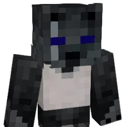 CREPEERKILLER03 Minecraft avatar bust
