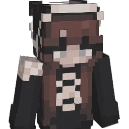 CSD_Minecraft2 Minecraft avatar bust