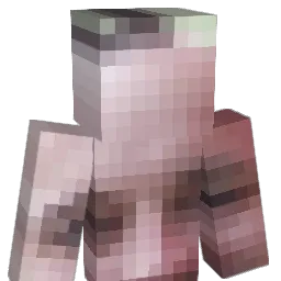 CSDelta13 Minecraft avatar bust