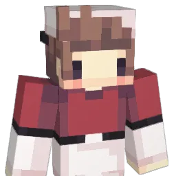 CSIS's Minecraft skin