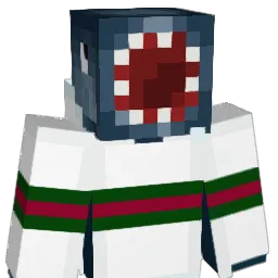 CSN2011_'s Minecraft skin