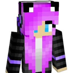 CT123 Minecraft avatar bust