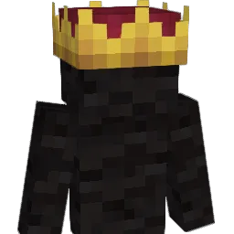 CTWisBad