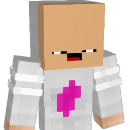 CWN2006 Minecraft avatar bust