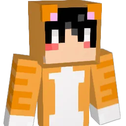 C_DIng Minecraft avatar bust
