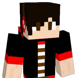C_Night Minecraft avatar bust