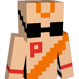 C_O_D_E_R Minecraft avatar bust
