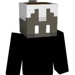 Ca_neka Minecraft avatar bust