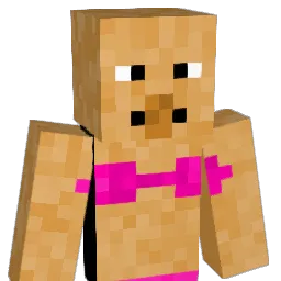 Cachondin69 Minecraft avatar bust